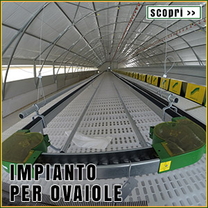 impianto per allevamento per ovaiole a terra
