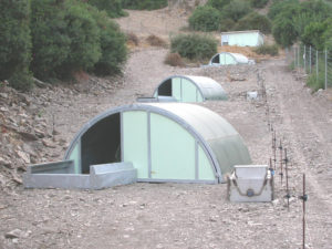 capannina ad arco per gestazione suini